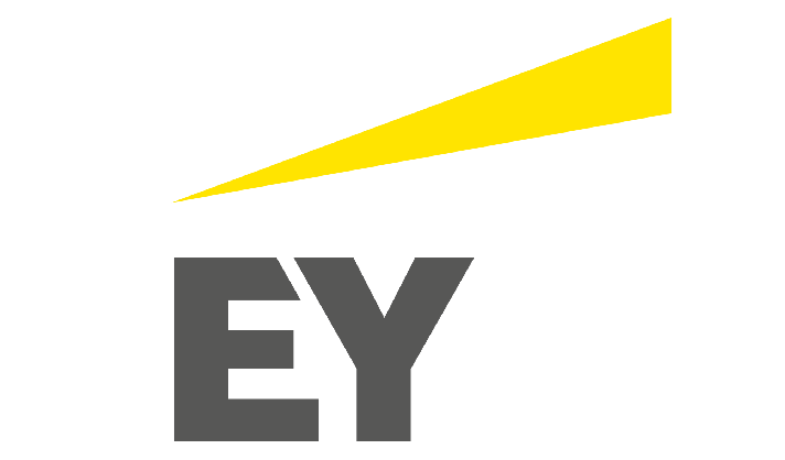 Ernst & Young Consulting Sdn Bhd